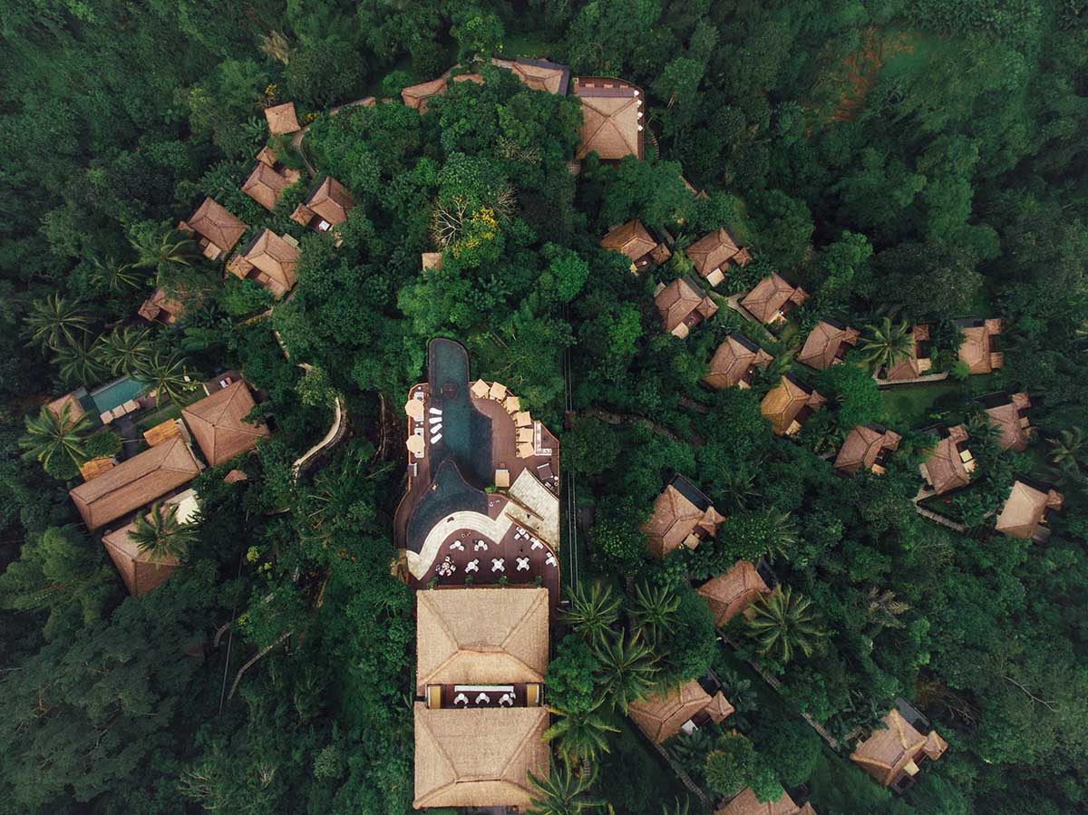 luxury-resort-in-tropical-rain-forest-2021-08-26-19-58-25-utc-copy.jpg